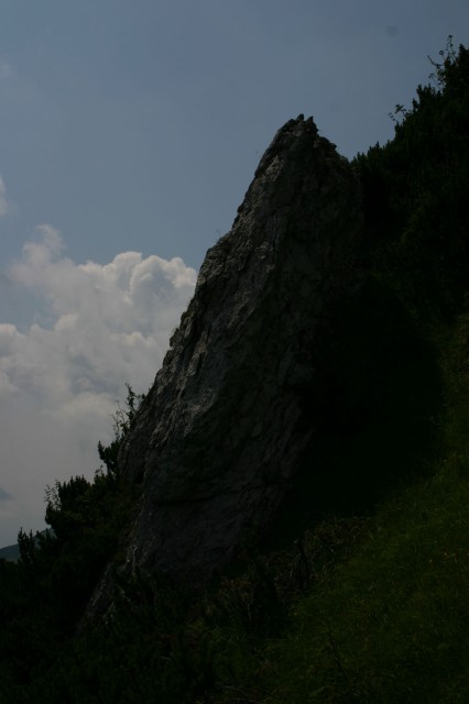 Original image