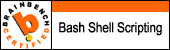 Bash Shell Scripting